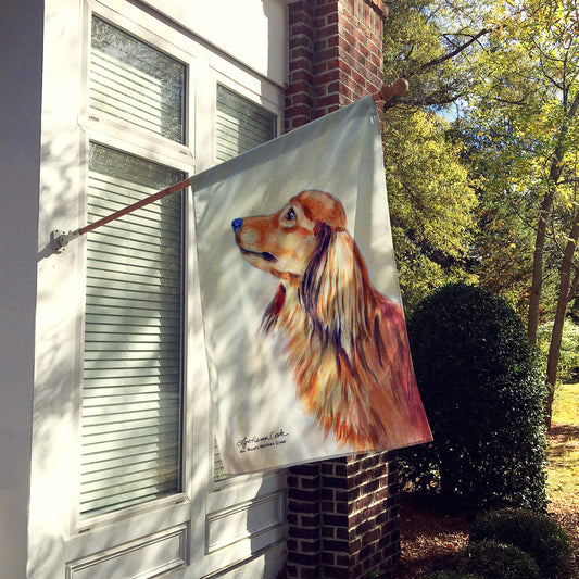 Dachshund Flag Canvas House Size