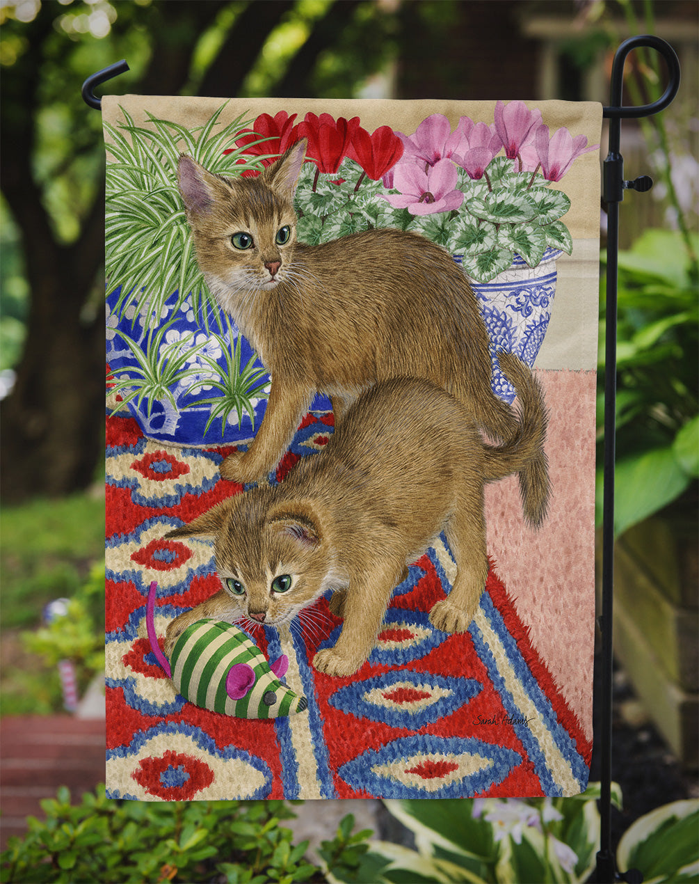 Abyssinian Kitten Garden Flag – Decorative Outdoor Yard Flag ASA2164GF