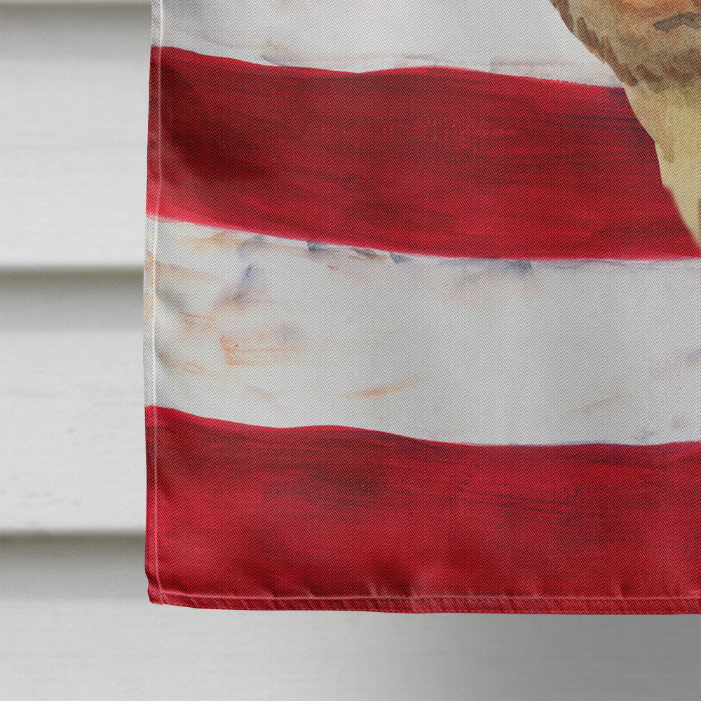 Dachshund Patriotic Flag Canvas House Size BB9652CHF