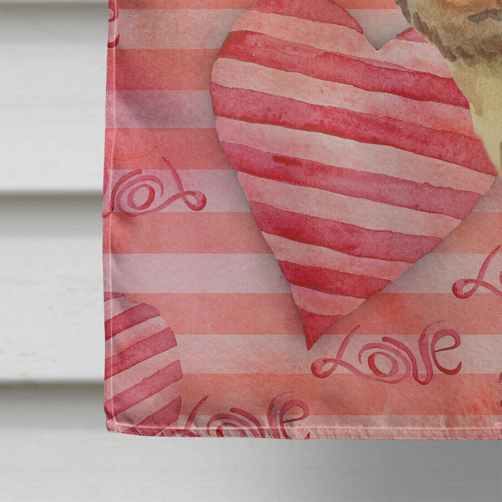 Dachshund Love Flag Canvas House Size BB9739CHF