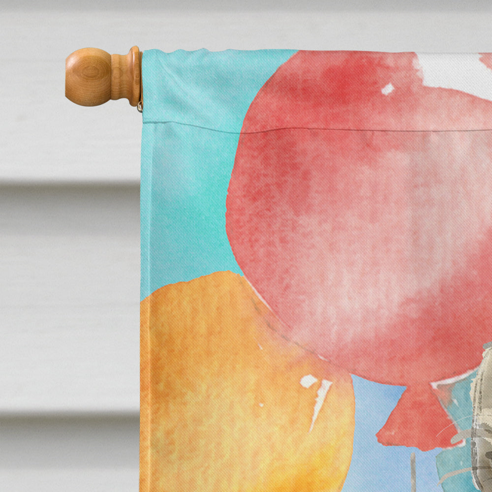 Maine Coon Happy Birthday Flag Canvas House Size CK3169CHF