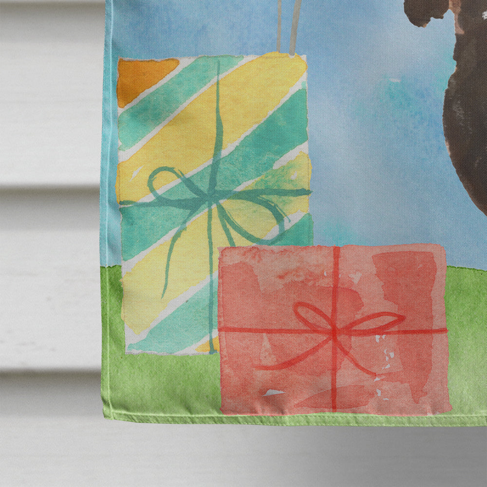 Happy Birthday Black and Tan Dachshund Flag Canvas House Size CK3239CHF