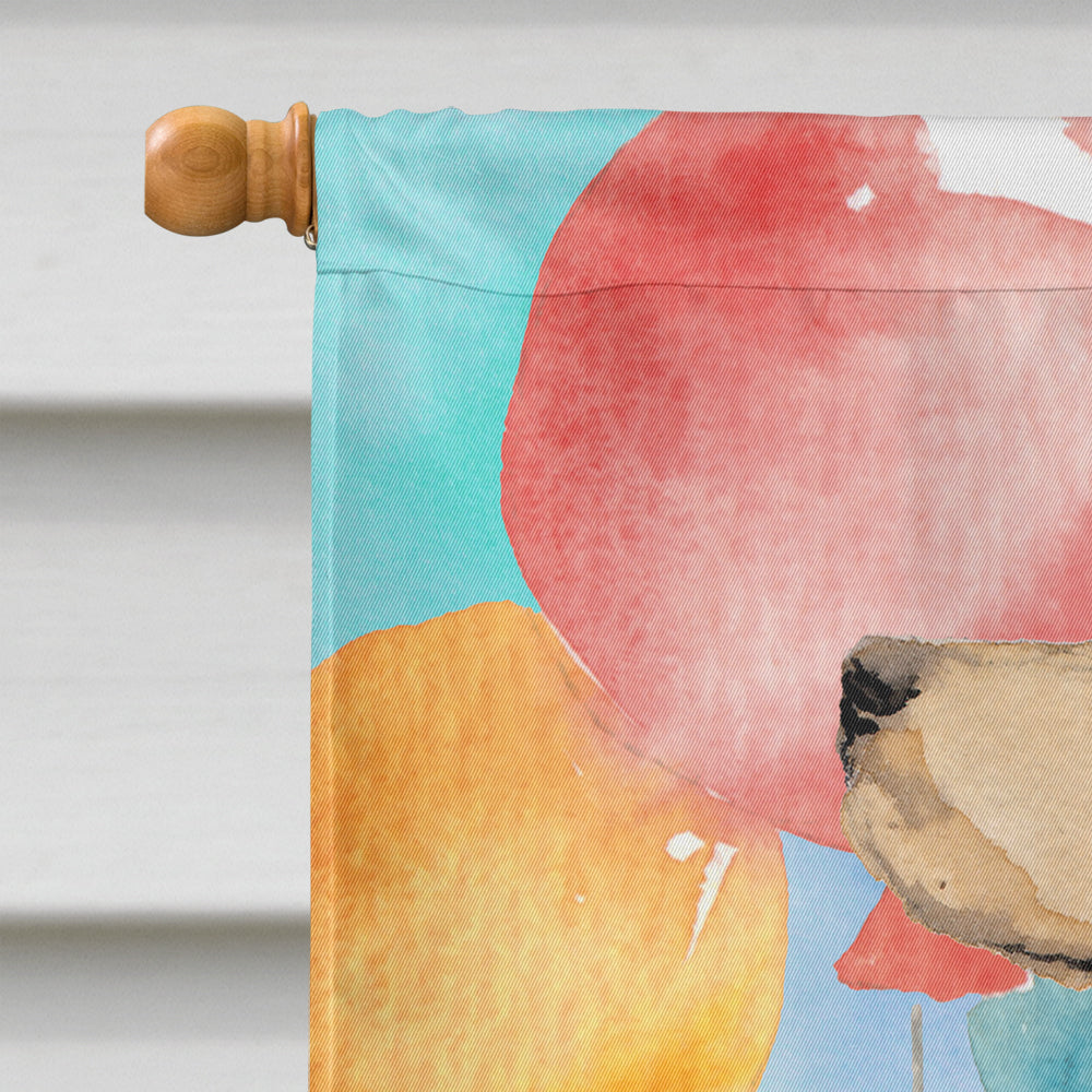 Happy Birthday Labrador Retriever Yellow Flag Canvas House Size CK3257CHF