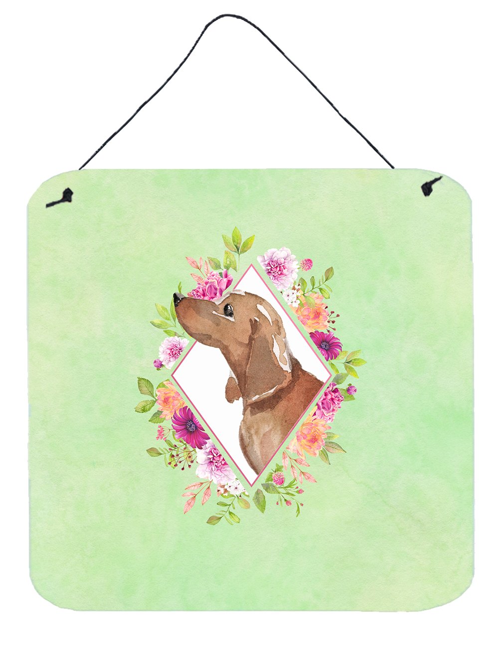 Dachshund Green Flowers Wall or Door Hanging Prints CK4367DS66