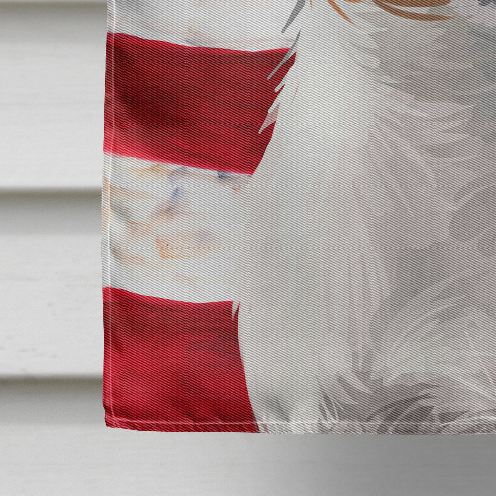 Danish-Swedish Farmdog American Flag Flag Canvas House Size CK6502CHF