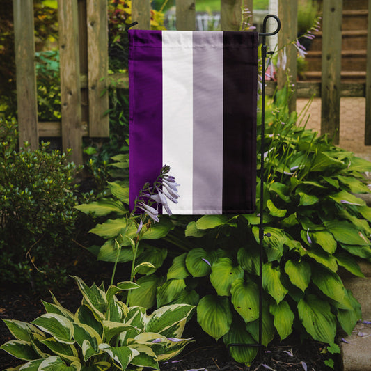Asexual Pride Garden Flag – LGBTQ+ Inclusive Outdoor Yard Decor