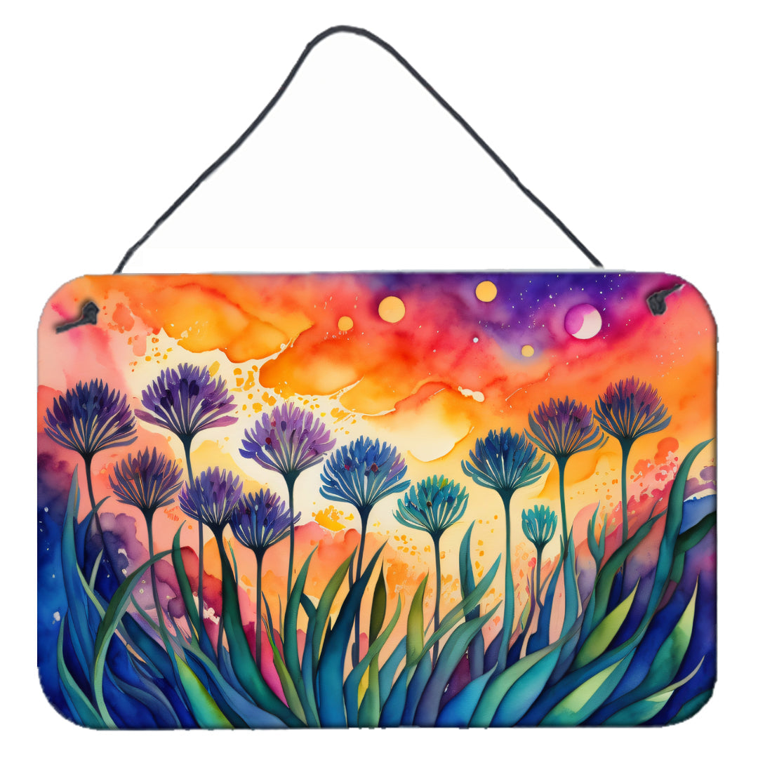 Agapanthus in Color Wall or Door Hanging Prints