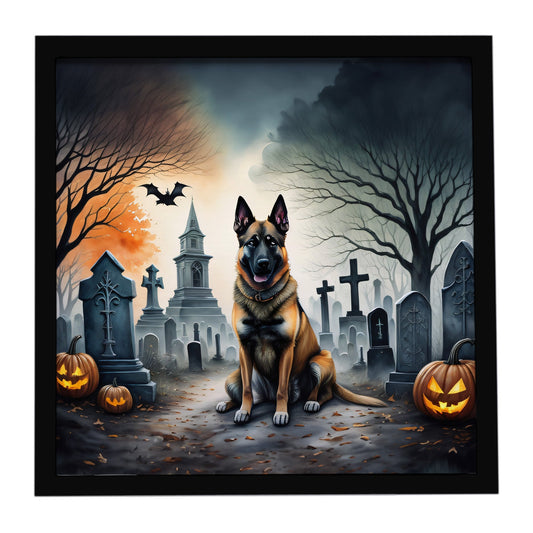 Belgian Malinois Spooky Halloween Framed Metal Print