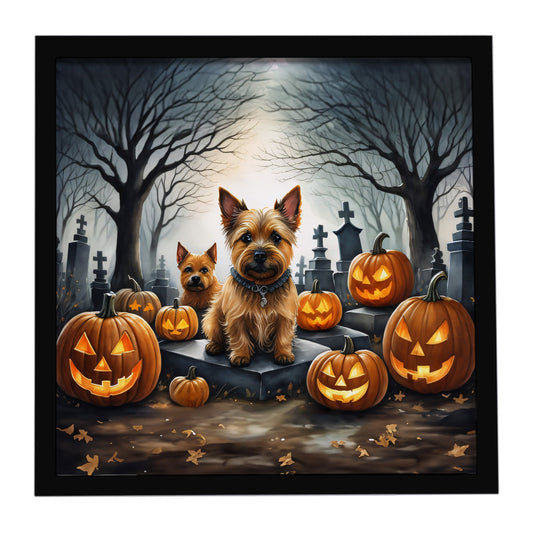 Norwich Terrier Spooky Halloween Framed Metal Print