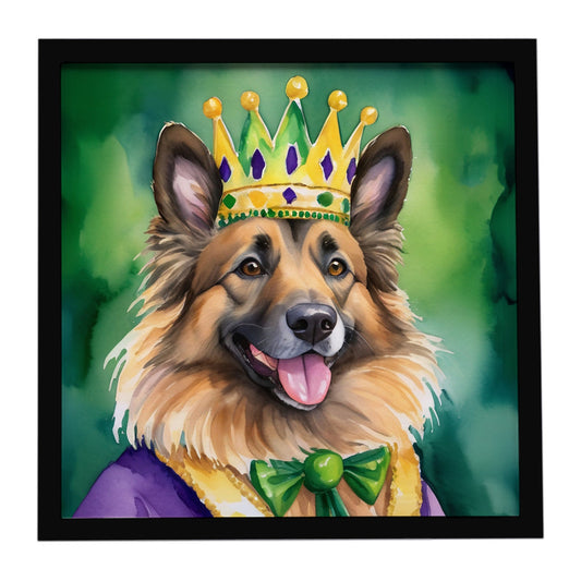 Belgian Tervuren King of Mardi Gras Framed Metal Print
