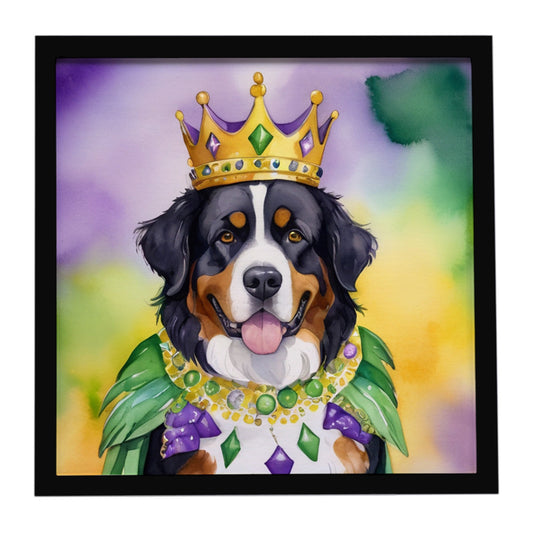 Bernese Mountain Dog King of Mardi Gras Framed Metal Print