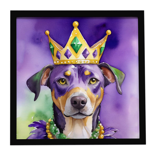 Catahoula King of Mardi Gras Framed Metal Print