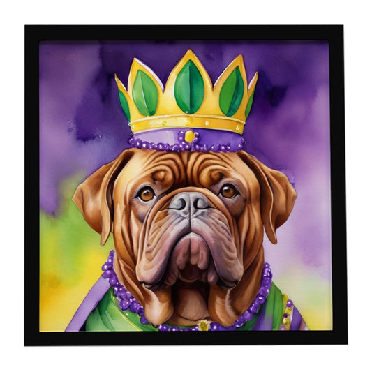 Dogue de Bordeaux King of Mardi Gras Framed Metal Print