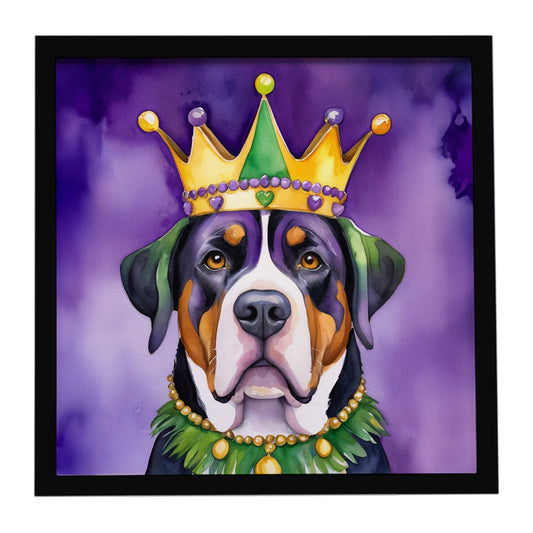 Greater Swiss Mountain Dog King of Mardi Gras Framed Metal Print