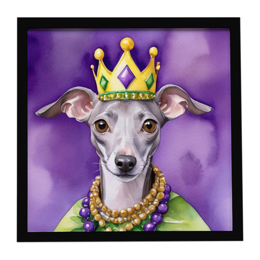 Italian Greyhound King of Mardi Gras Framed Metal Print