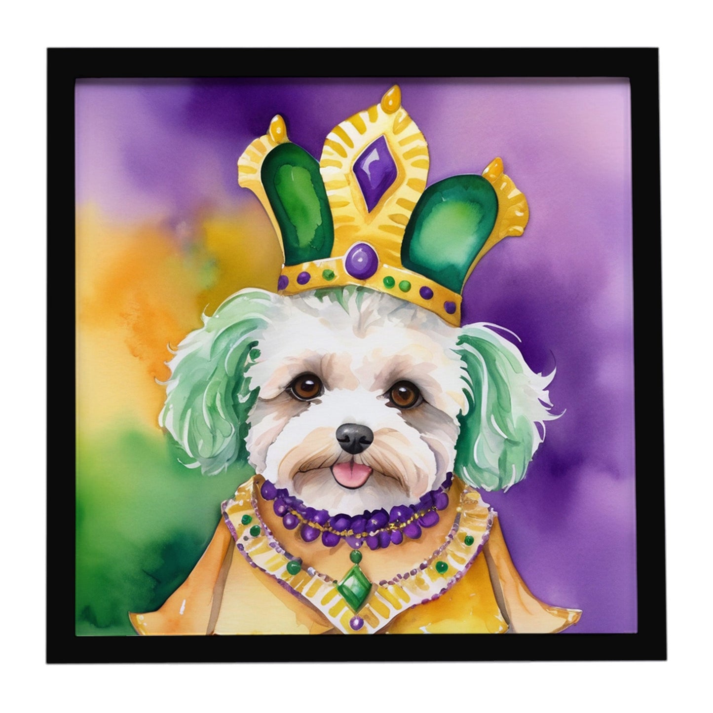 Maltipoo King of Mardi Gras Framed Metal Print
