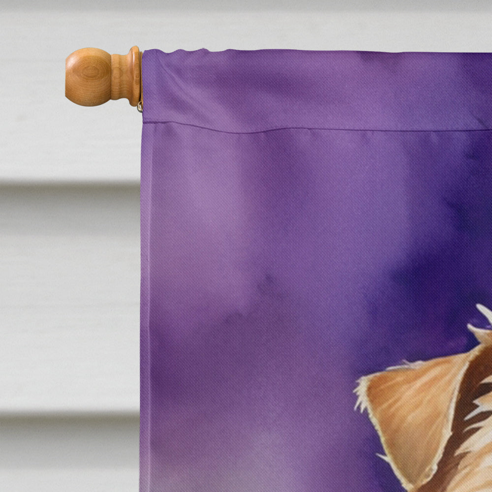 Norfolk Terrier King of Mardi Gras House Flag