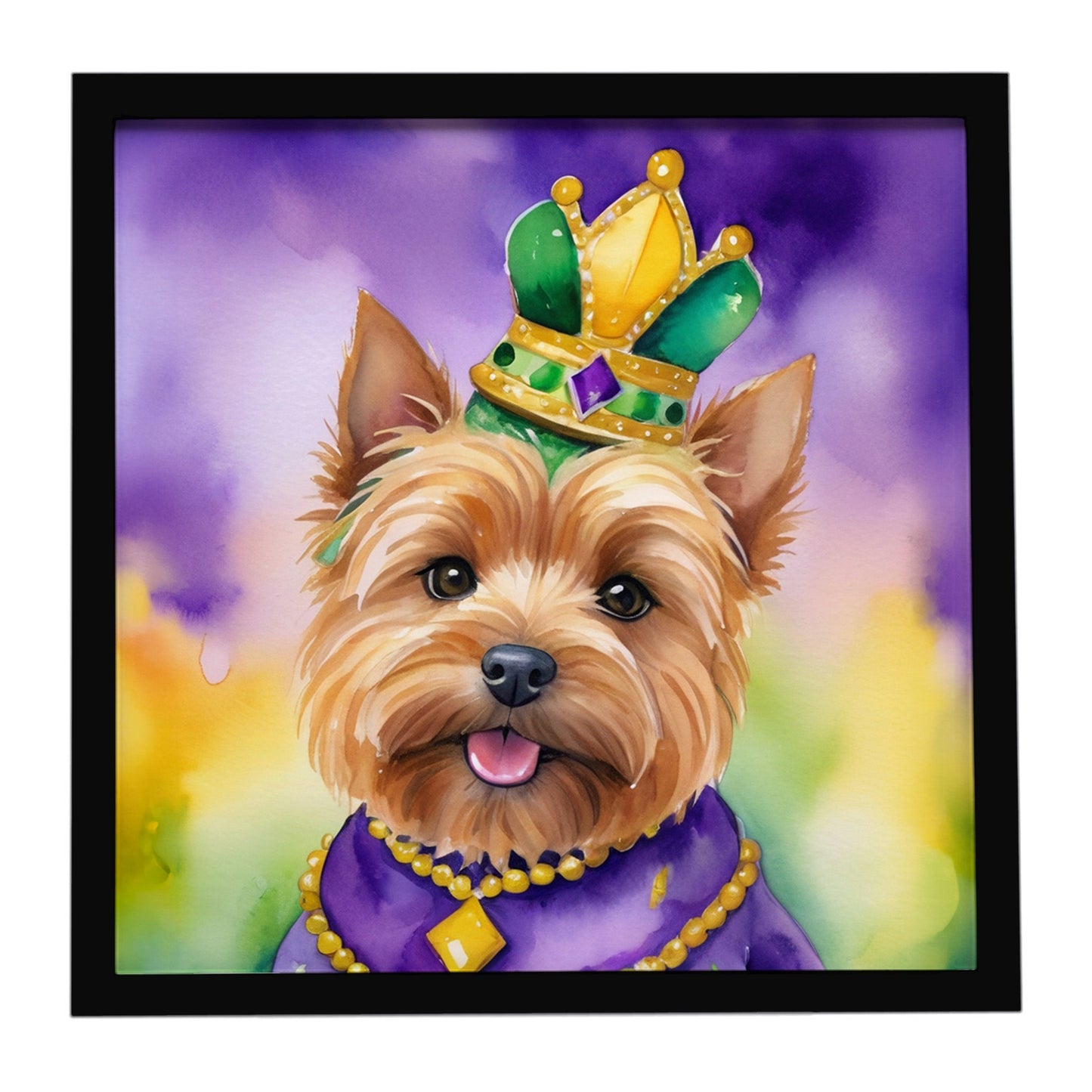 Norwich Terrier King of Mardi Gras Framed Metal Print