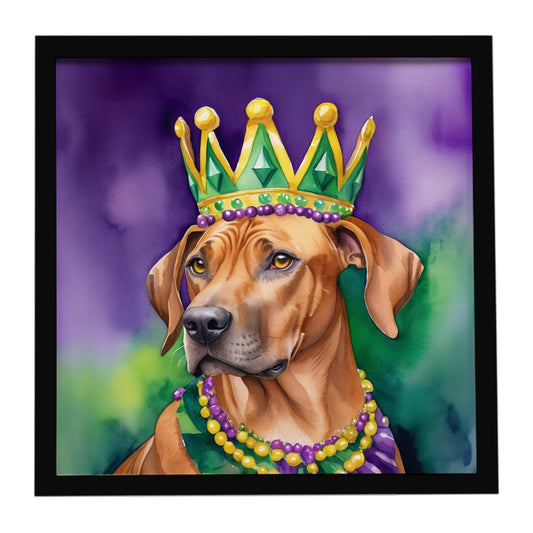 Rhodesian Ridgeback King of Mardi Gras Framed Metal Print