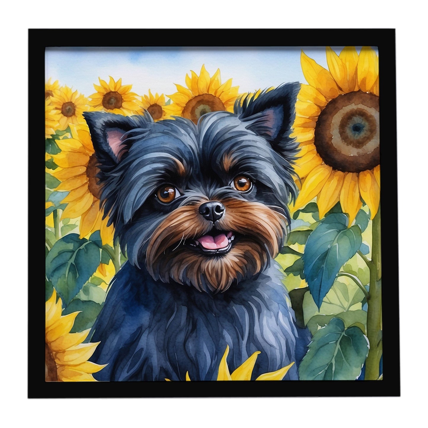 Affenpinscher in Sunflowers Framed Metal Print