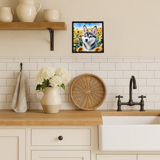 Alaskan Klee Kai in Sunflowers Framed Metal Print