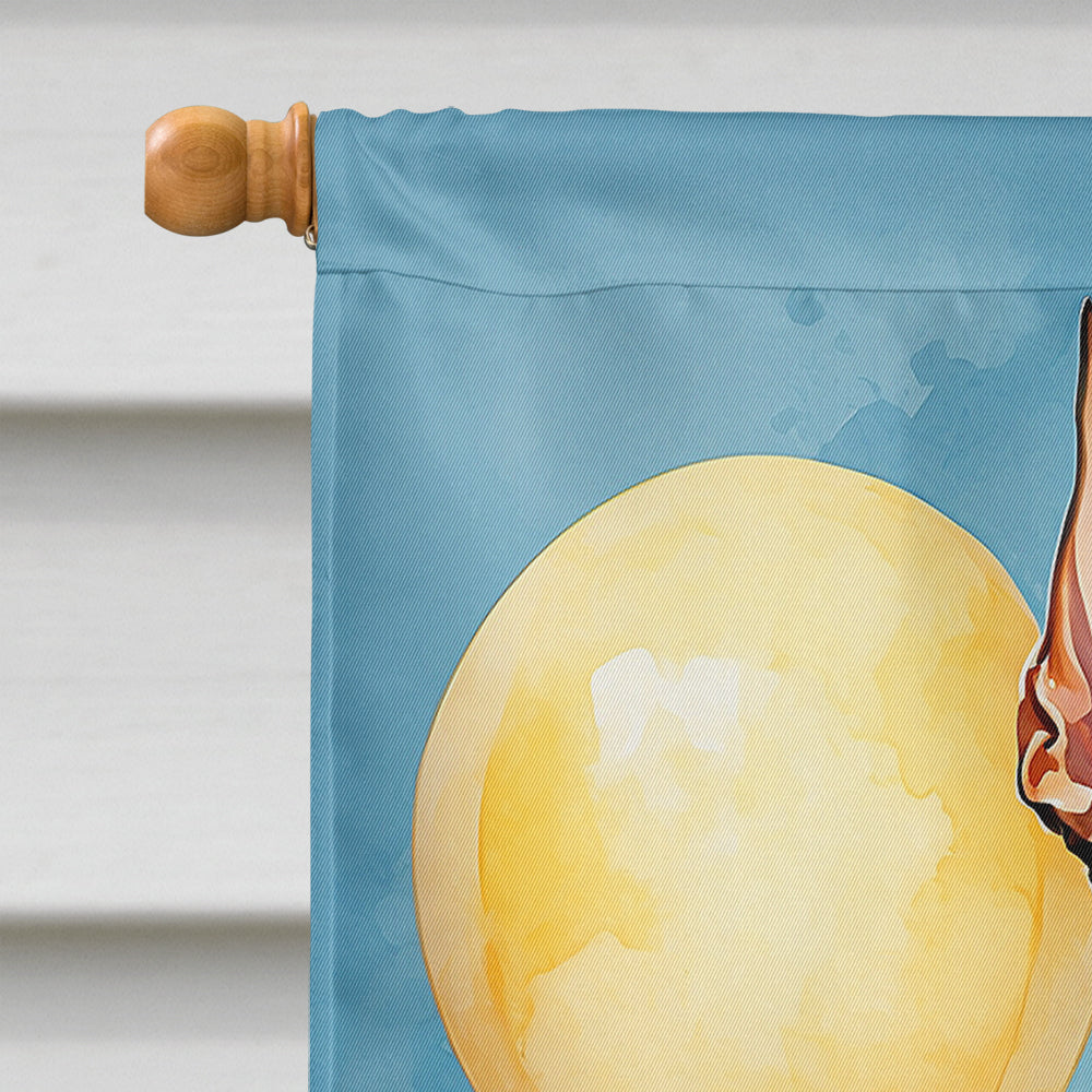 Doberman Pinscher Happy Birthday House Flag