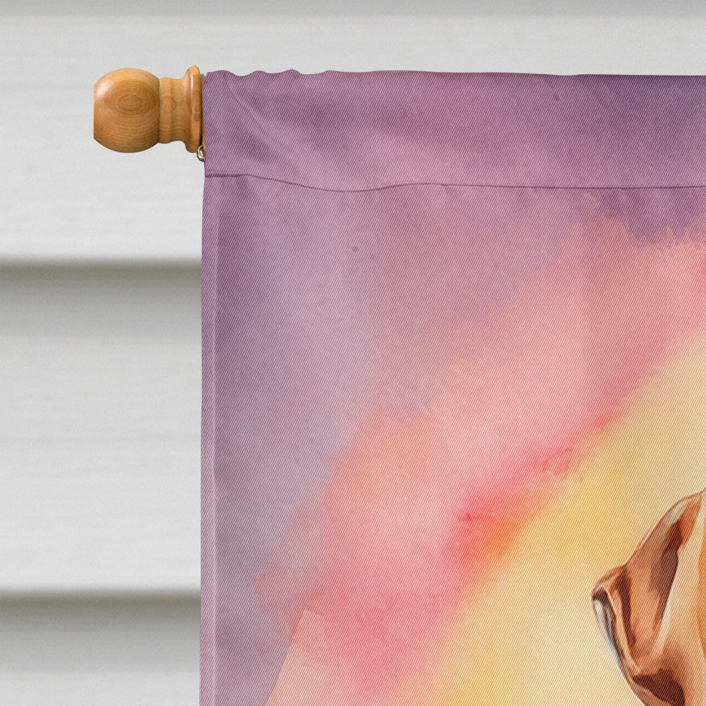 Vizsla Happy Birthday House Flag
