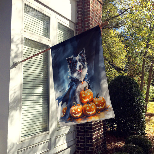 Border Collie Puppy Halloween House Flag