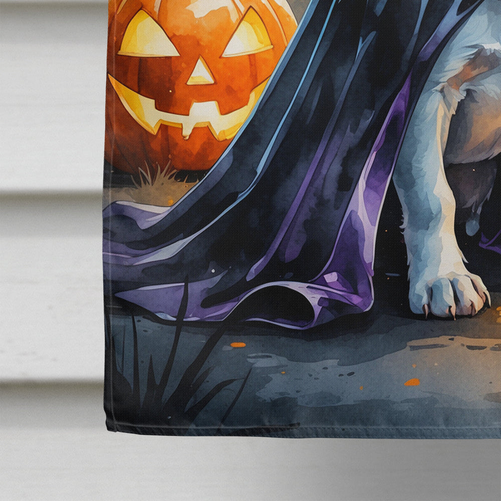 Boston Terrier Puppy Halloween House Flag