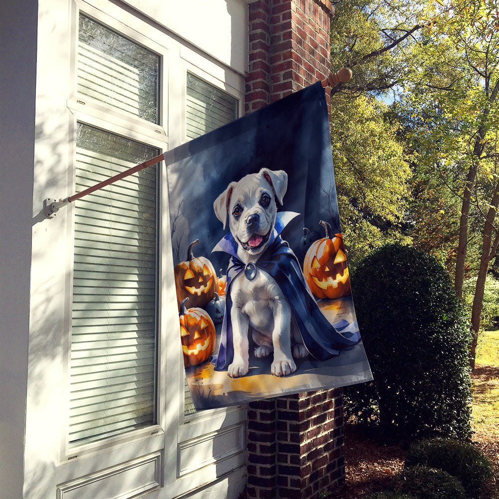 White Boxer Puppy Halloween House Flag