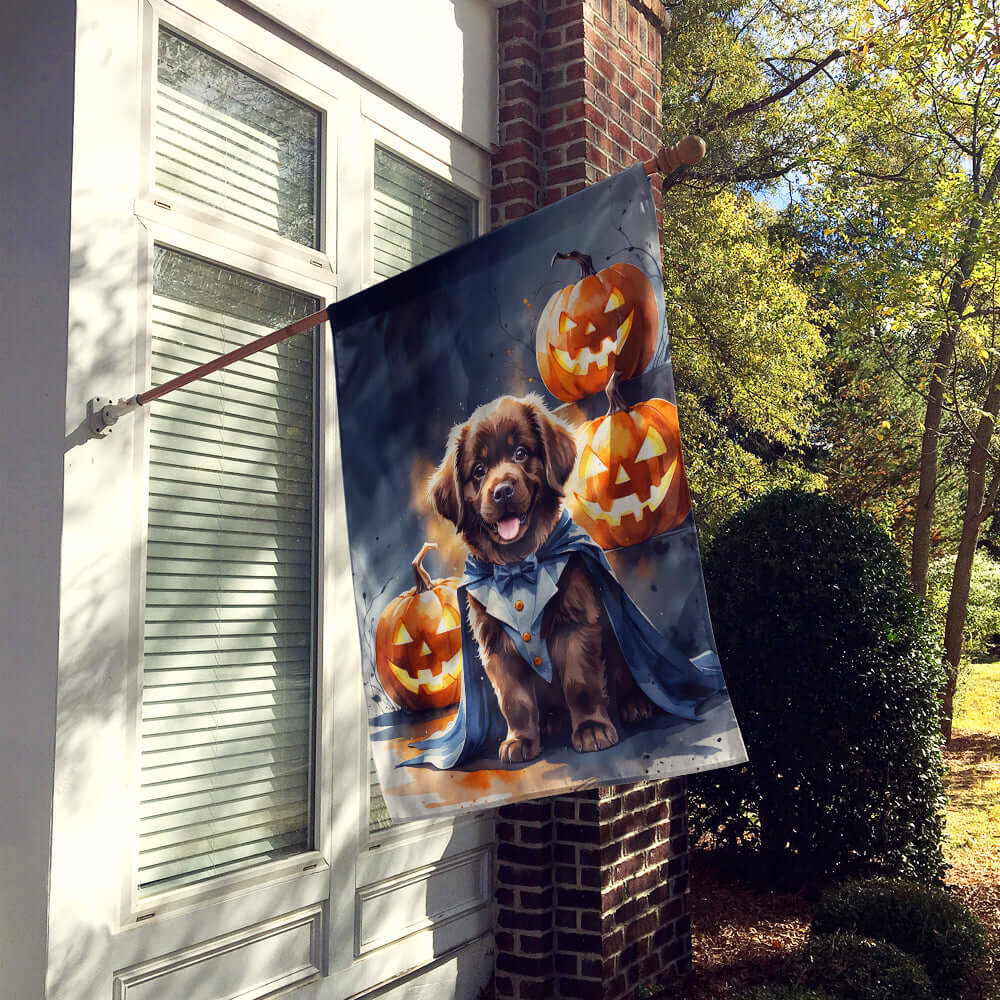 Chocolate Newfoundland Puppy Halloween House Flag