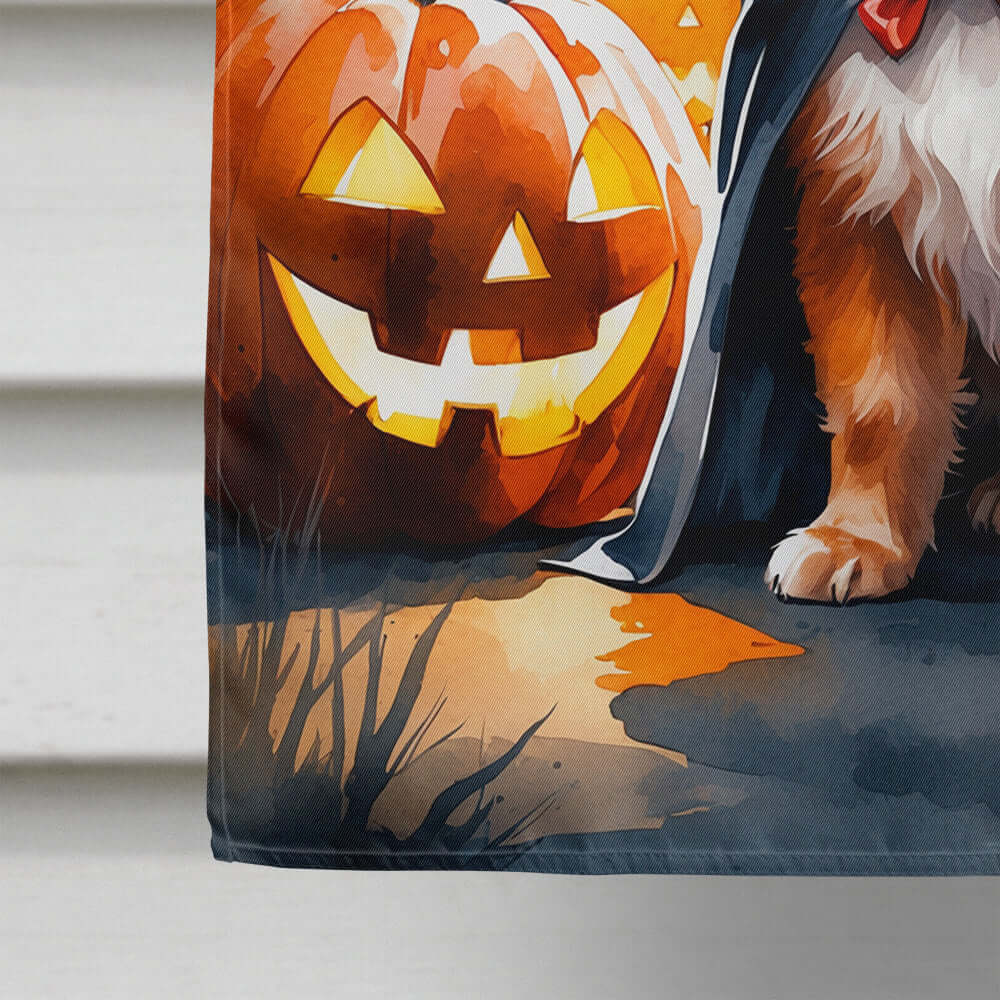 Pomeranian Puppy Halloween House Flag