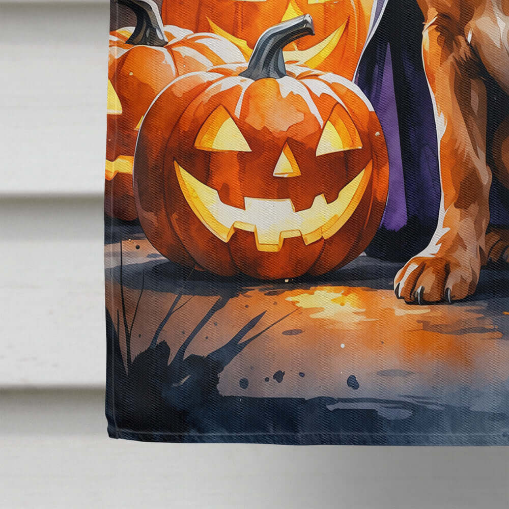 Vizsla Puppy Halloween House Flag