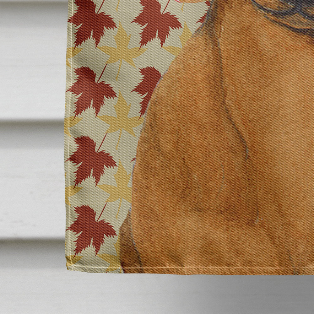 Dachshund Fall Leaves Portrait Flag Canvas House Size