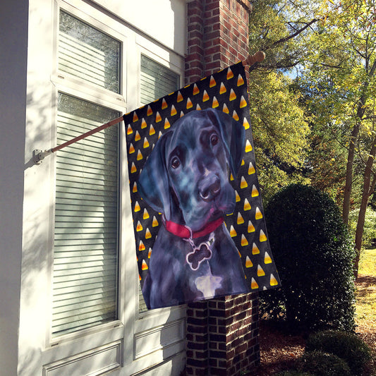 Black Great Dane Puppy Candy Corn Halloween Flag Canvas House Size LH9551CHF