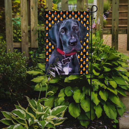 Black Great Dane Puppy Candy Corn Halloween Garden Flag - Outdoor Decorative Yard Flag