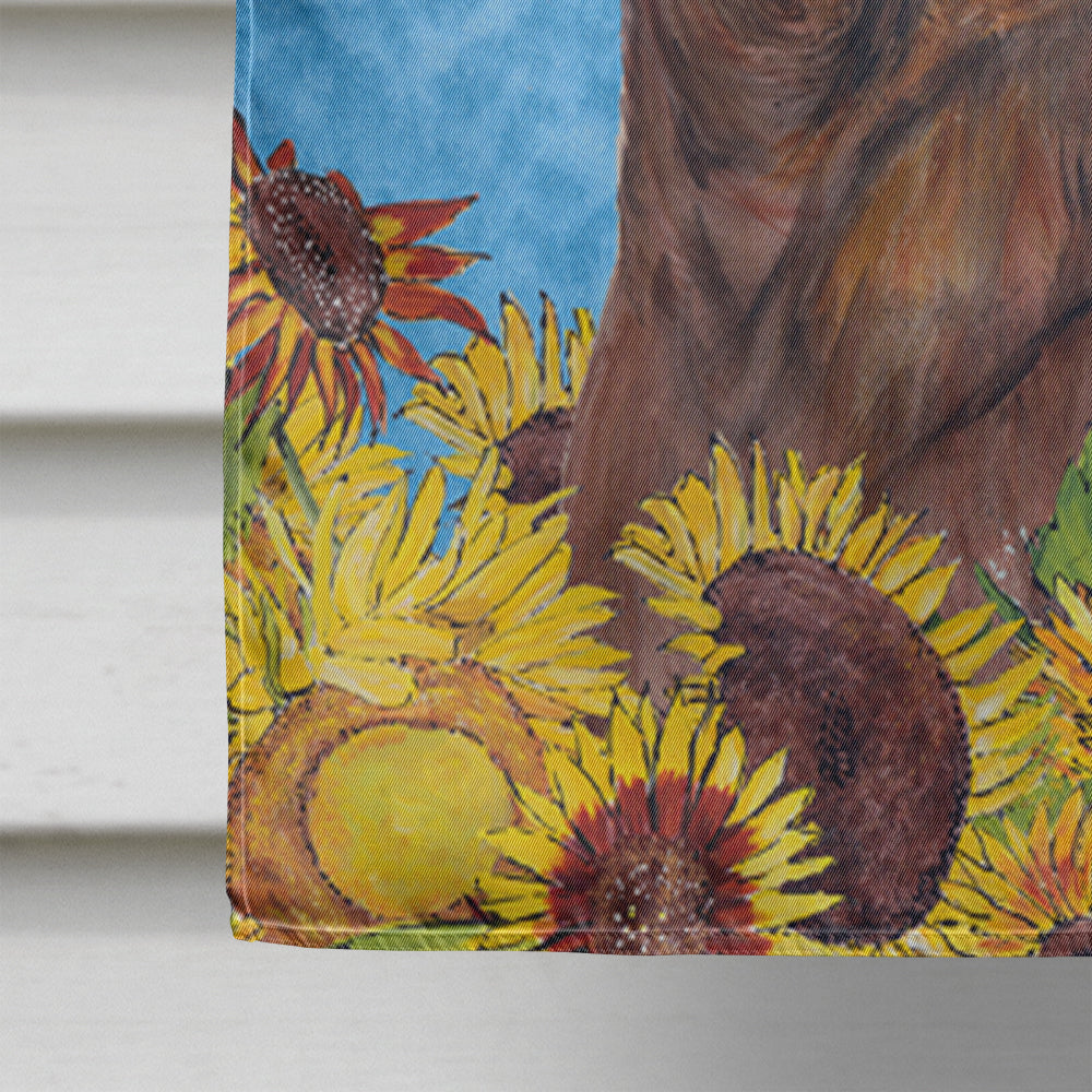 Dachshund Flag Canvas House Size