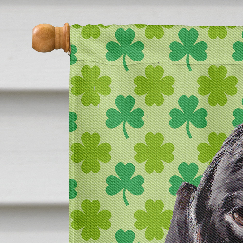 Dachshund St. Patrick's Day Shamrock Portrait Flag Canvas House Size