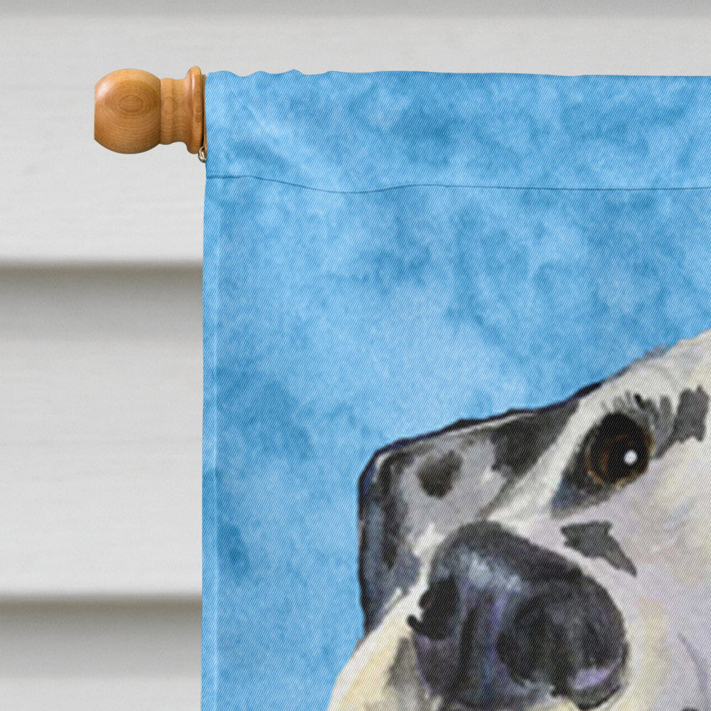 Dalmatian Flag Canvas House Size