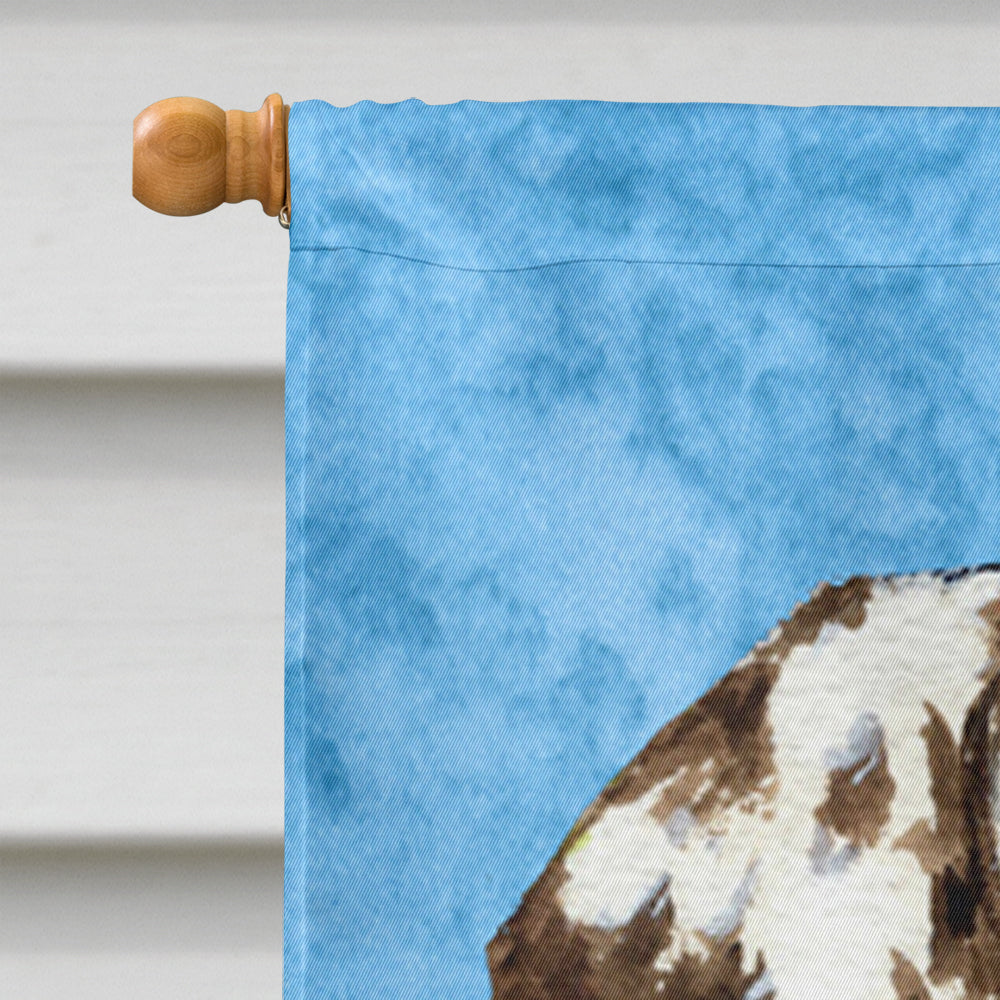Dalmatian Flag Canvas House Size