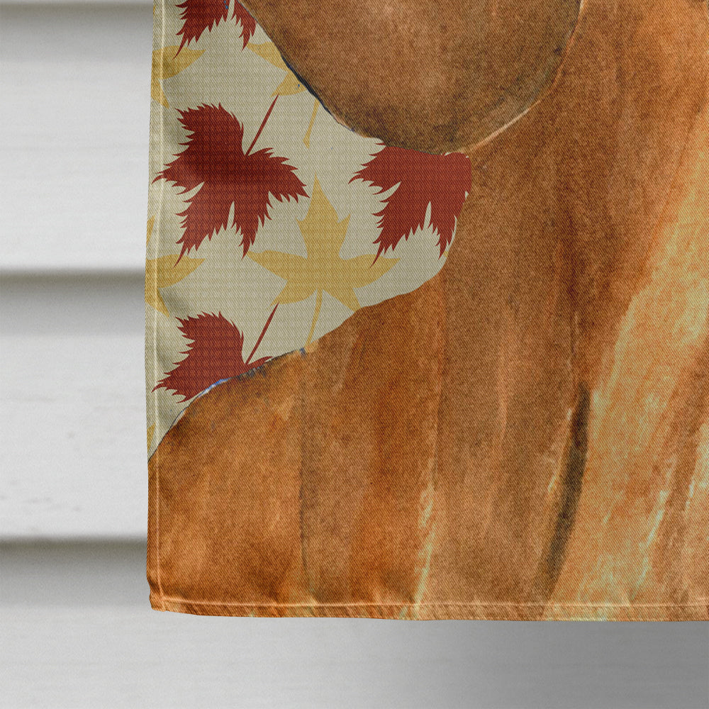 Dachshund Fall Leaves Portrait Flag Canvas House Size