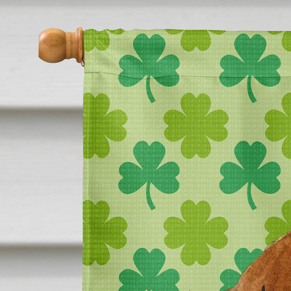Dachshund St. Patrick's Day Shamrock Portrait Flag Canvas House Size