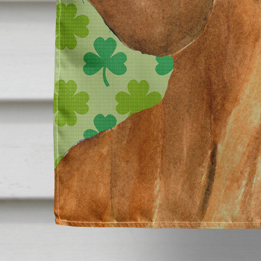 Dachshund St. Patrick's Day Shamrock Portrait Flag Canvas House Size