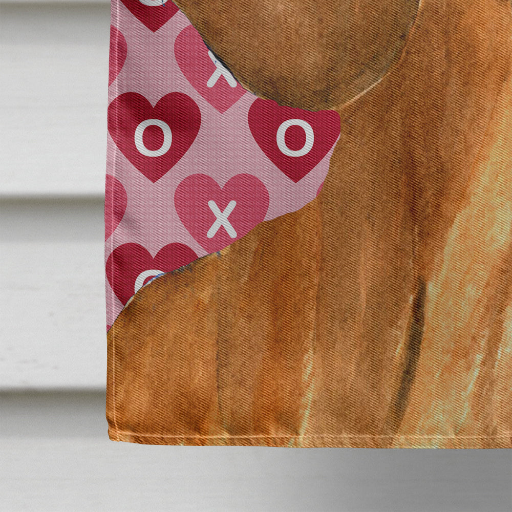 Dachshund Hearts Love Valentine's Day Flag Canvas House Size