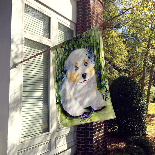 Australian Shepherd Flag Canvas House Size