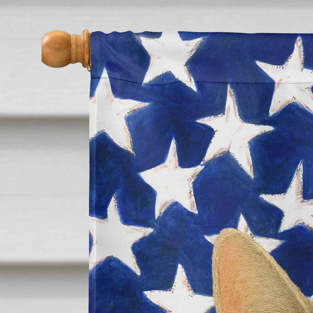 Dilute Calico Cat American House Flag