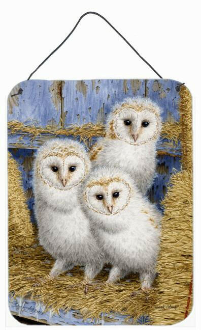 Barn Owl Chicks Wall or Door Hanging Prints ASA2076DS1216