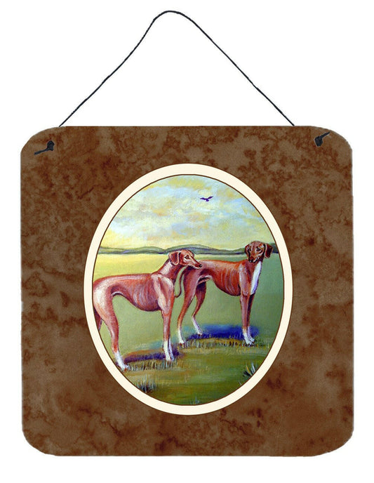 Azawakh Hound Wall or Door Hanging Prints 7001DS66