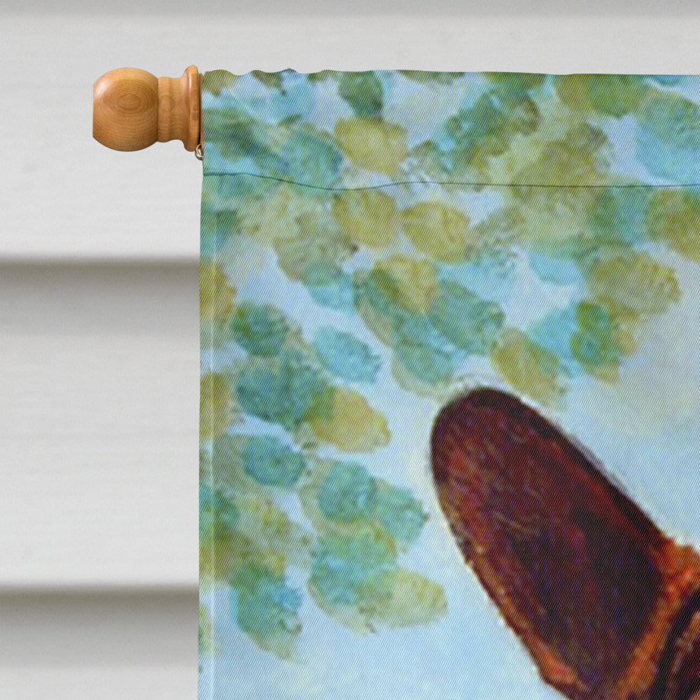 Cardigan Corgi Flag Canvas House Size