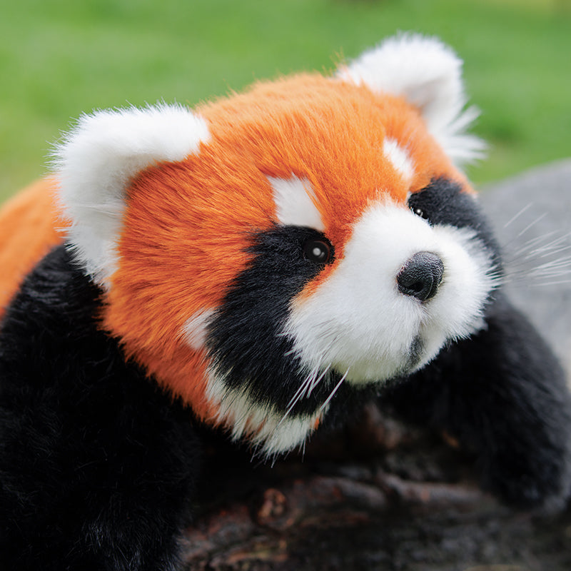 Red Panda Weighted Plush – Snuggle Toy for Stress Relief